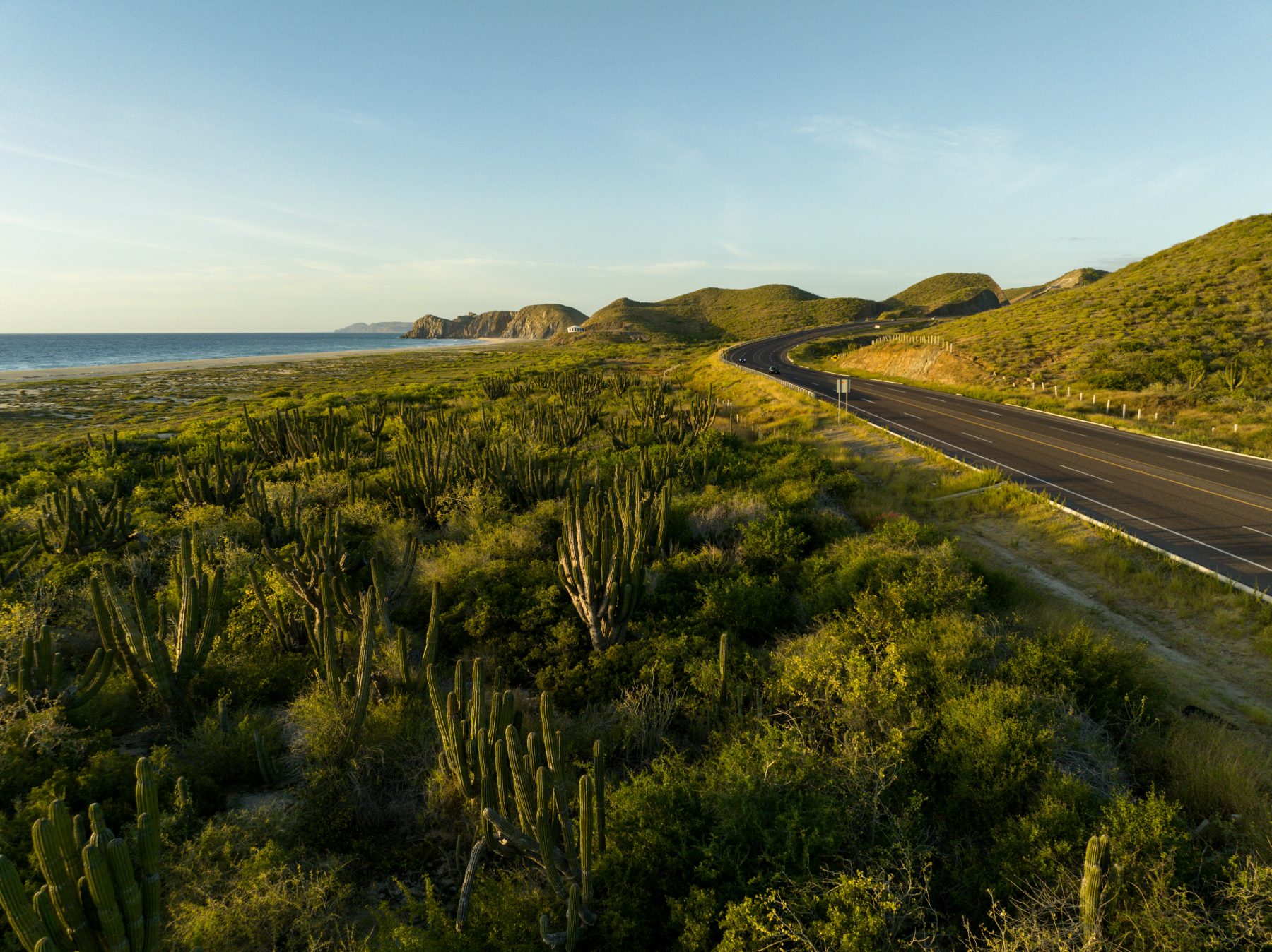 Fundadores — interior design project by Onoa in Los Cabos